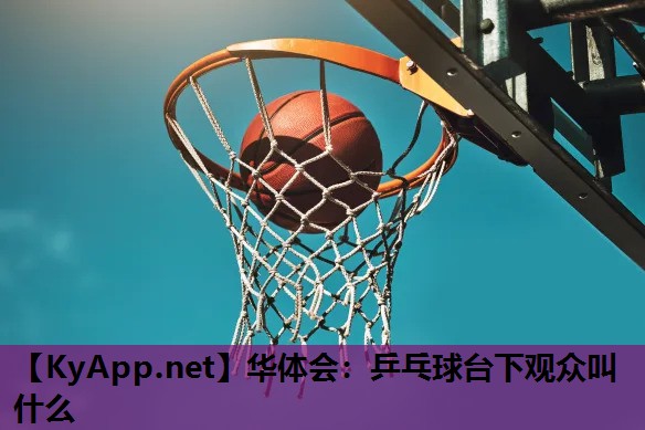 华体会：乒乓球台下观众叫什么