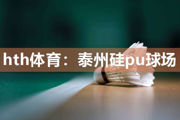 泰州硅pu球场